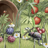 Beetle Bonanza Bundle!