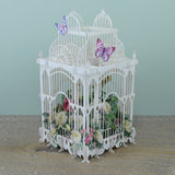 "100 Today Flower Cage" - 3D Pop Up Greetings Card